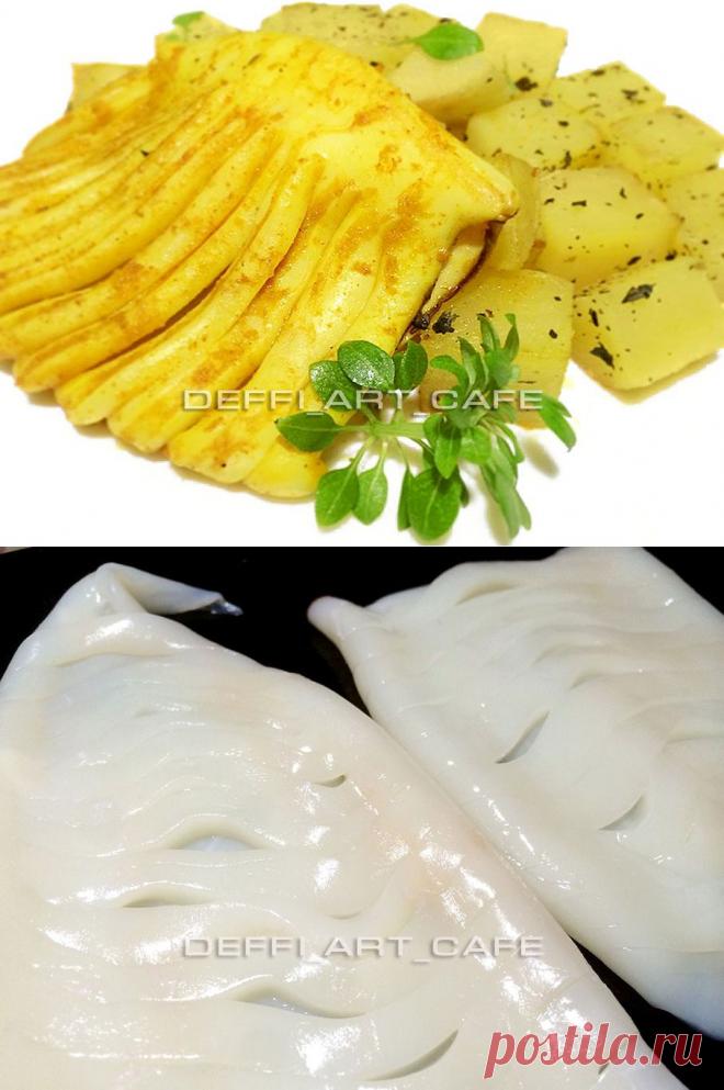 КАЛЬМАР КОНЦЕРТИНО | 4vkusa.ru