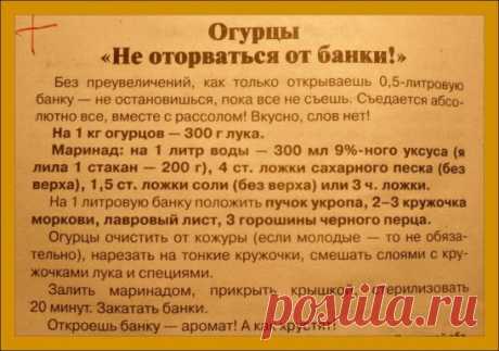 Рецепт засолки огурцов