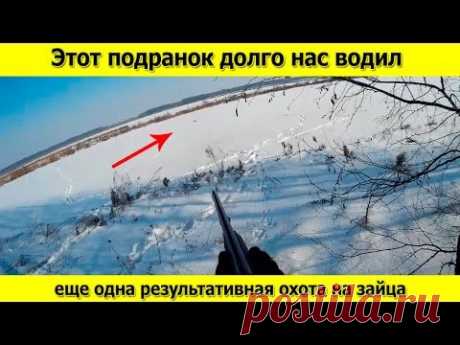Тропление зайца, подранок и его добирание. Кто кого перехитрит!