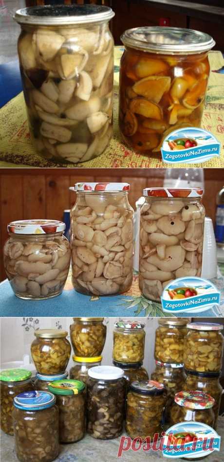 Маринованные грибы на зиму - рецепты