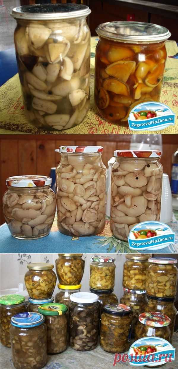 Маринованные грибы на зиму - рецепты
