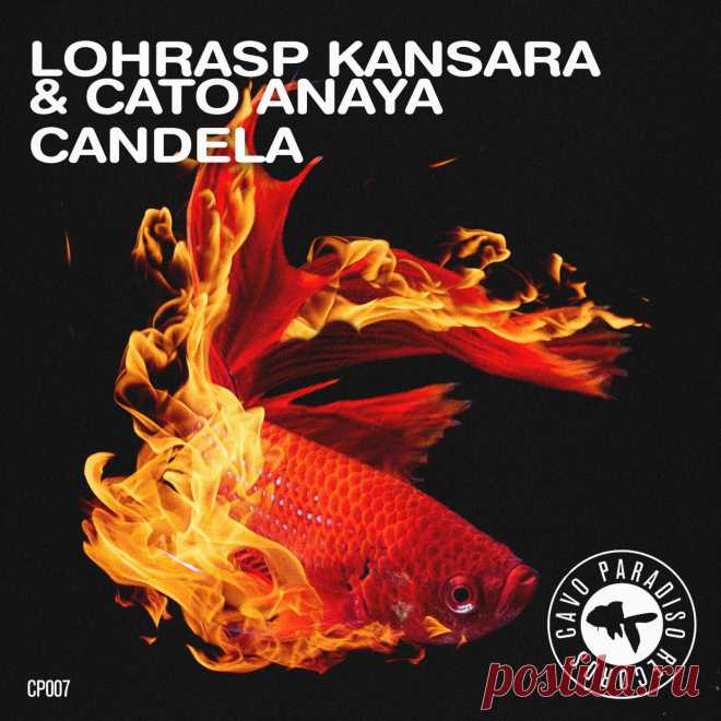 Cato Anaya - Candela