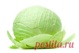 Мощнейшее противораковое воздействие! + польза для сердца и сосудов