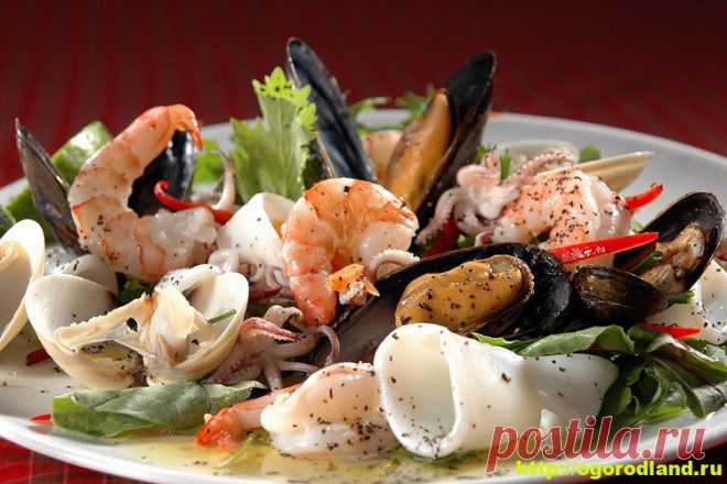 Салаты из морепродуктов. Вкусные рецепты приготовления