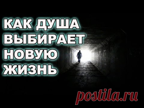 КАК ДУША ВЫБИРАЕТ СЕБЕ НОВУЮ ЖИЗНЬ