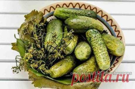 Одноклассники