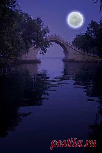 Art Of Nature