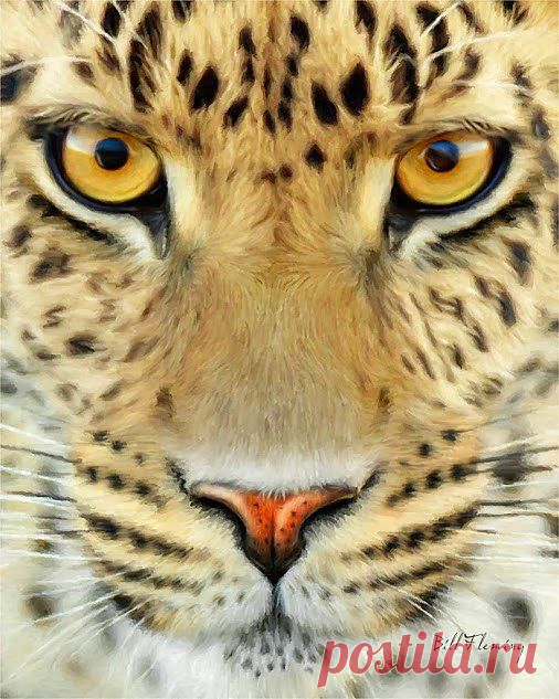 Гагарин Змеед – Google+