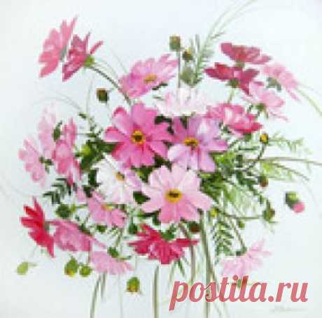 Плов в стиле Махараштра. Reisgericht nach Maharashtra-Art