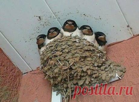 (21) Facebook