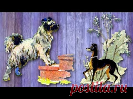 Барбос и Жулька Александр Куприн - YouTube
