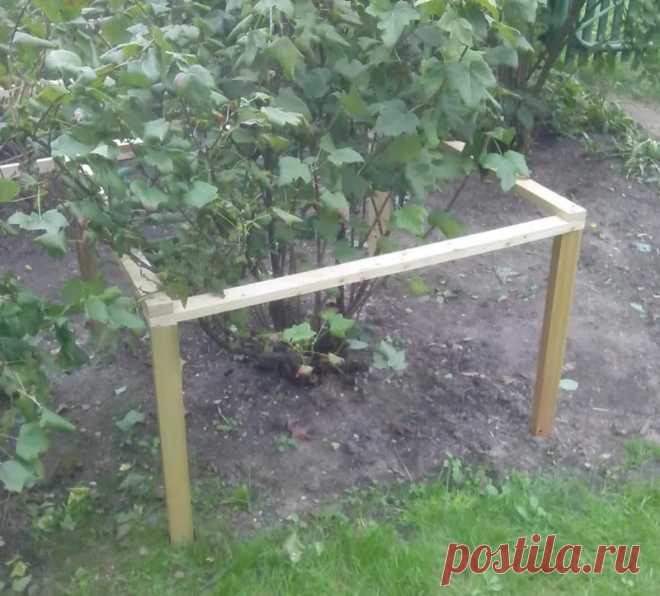 опоры для кустов своими руками: 2 тыс изображений найдено в Яндекс.Картинках