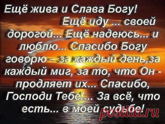 Если жизнь ставит на колени — стоя на коленях, помолись, а потом вставай и иди дальше...