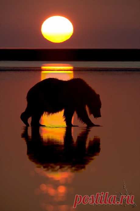 zosia24: Walking In Sunshine via ~ pinterest - peaceful eye