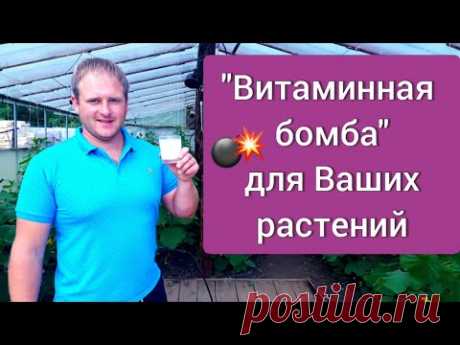 "Витаминная бомба" для растений