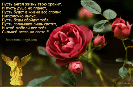 Научитесь плохое не звать,
Предвещая заранее беды...
Вы ведите другие беседы...
Научитесь душой расцветать...