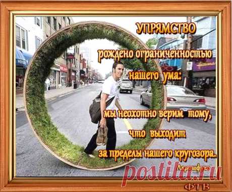 Ирония часто маскирует неспособность выйти за рамки собственных допущений.