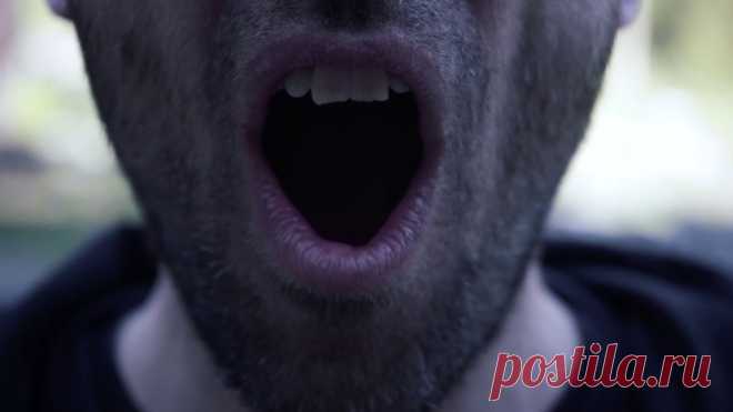 Black Swamp Water- Showdown (Official Music Video) 