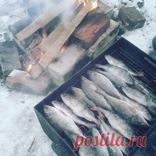 Старое русло заволжье,оно того стоит)))