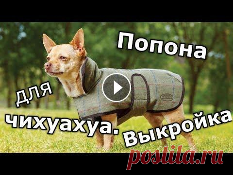 Выкройки одежды для собак! Чихуахуа одежда, комбинезон собака выкройка попона Выкройки одежды для собак! Чихуахуа одежда, комбинезон собака выкройка попона Купить одежду для собак, магазин одежды для собак: Некоторые товары в ви...