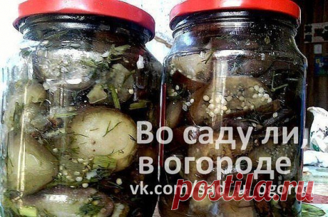Одноклассники