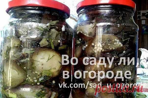 Одноклассники