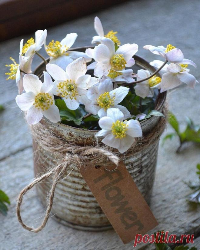 Пусть у каждого будет то...
                что  гораздо Дороже денег.....