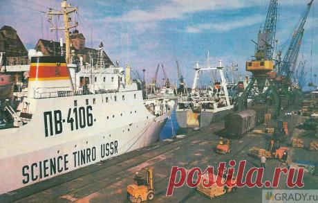 Калининград, Калининградская область, Россия - В морском рыбном порту - 1975-й год - г2500 | GRADY.ru
