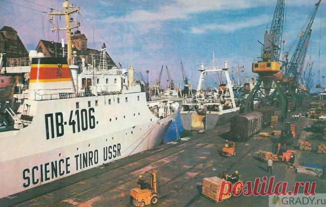 Калининград, Калининградская область, Россия - В морском рыбном порту - 1975-й год - г2500 | GRADY.ru