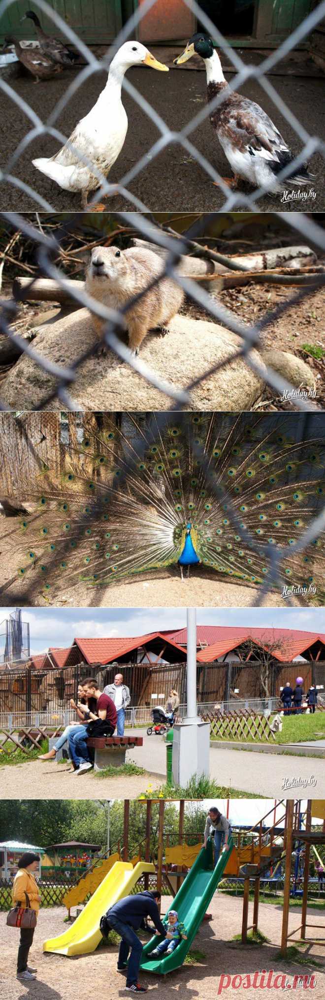 Зоопарк в Минске: москвичи-постояльцы, символ зоосада и сюрпризы для публики - туристический блог об отдыхе в Беларуси