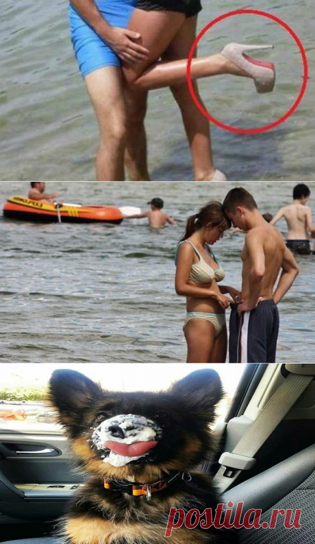 20 забавных и смешных пляжных фотографий