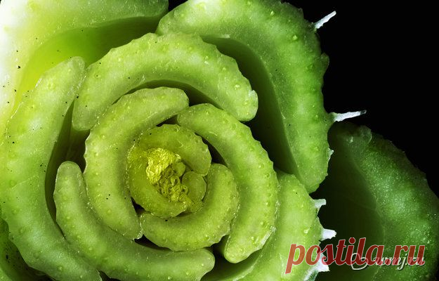 Блюда для похудения: 10 рецептов из сельдерея | www.wmj.ru