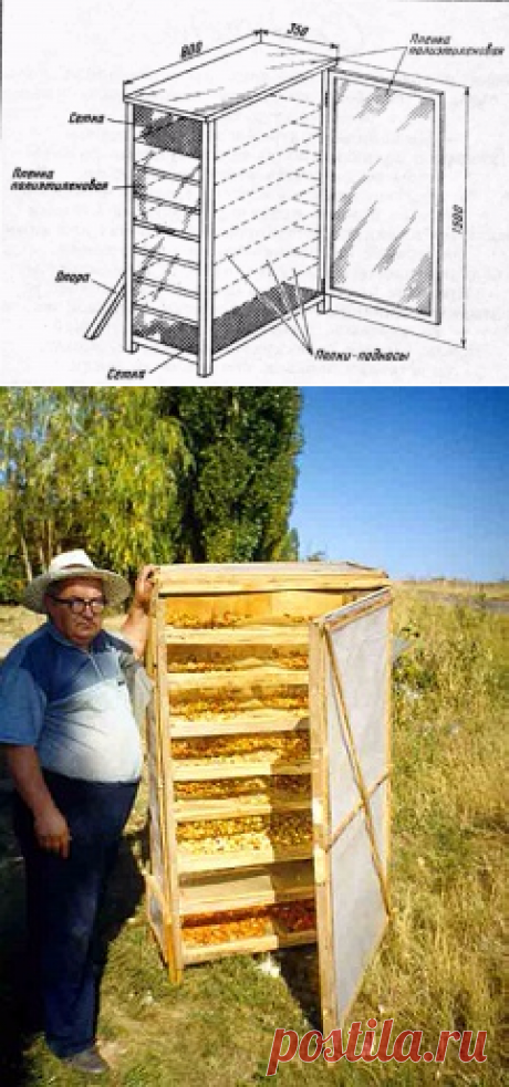 Сушилка для фруктов