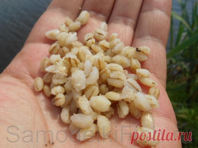 Перловка для рыбалки на леща - Самоделки для рыбалки своими руками