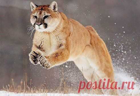 Мы сами придумываем себе проблемы, преграды, комплексы и рамки. Освободи себя, вдохни жизнь и пойми, что ты можешь всё!