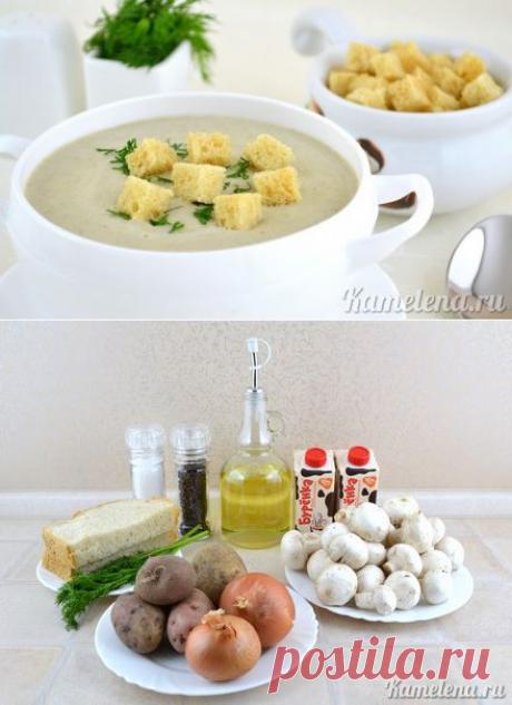 Суп-пюре из шампиньонов
