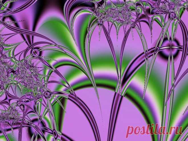 Фрактал, сделан в программе Fractal Explorer