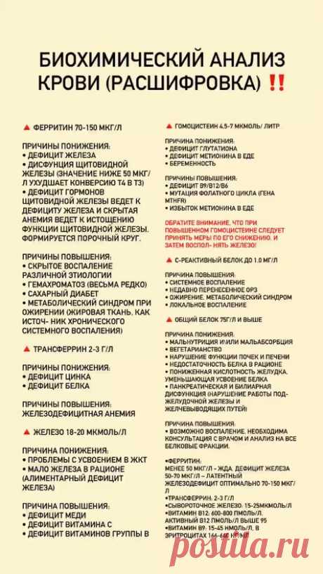 Пин содержит это изображение: Расшифровка биохимического анализа крови