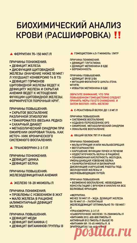 Пин содержит это изображение: Расшифровка биохимического анализа крови