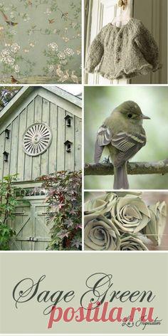 - Цветотерапия при миопии
- Цветотерапия при близорукости
- Цветотерапия при гиперметропии
- Цветотерапия при дальнозоркости
- Цветотерапия при астигматизме
- Цветотерапия при амблиопии (слабовидение, ленивый глаз)
- Цветотерапия при астенопии
- Цветотерапия при пресбиопии
- Цветотерапия при синдроме сухого глаза (сухой