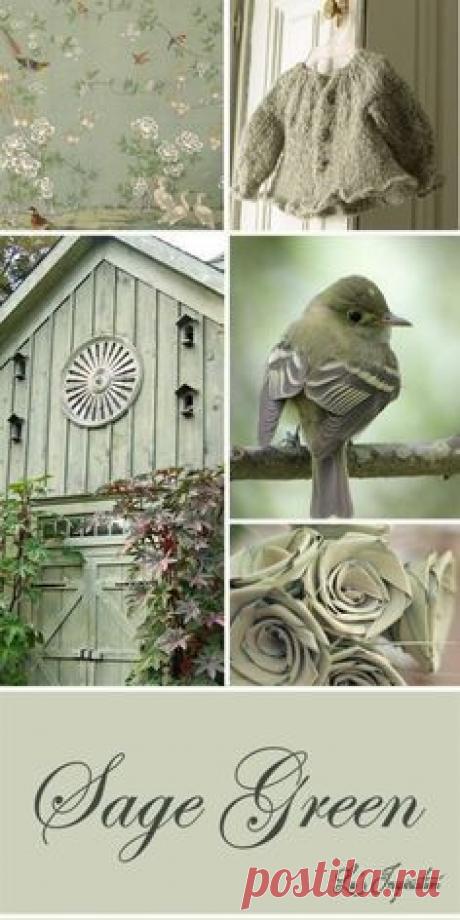 - Цветотерапия при миопии
- Цветотерапия при близорукости
- Цветотерапия при гиперметропии
- Цветотерапия при дальнозоркости
- Цветотерапия при астигматизме
- Цветотерапия при амблиопии (слабовидение, ленивый глаз)
- Цветотерапия при астенопии
- Цветотерапия при пресбиопии
- Цветотерапия при синдроме сухого глаза (сухой