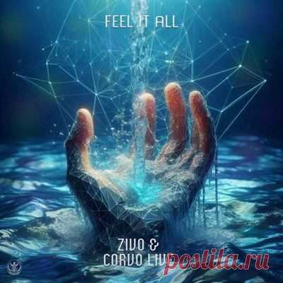 Zivo, Corvo Live - Feel It All