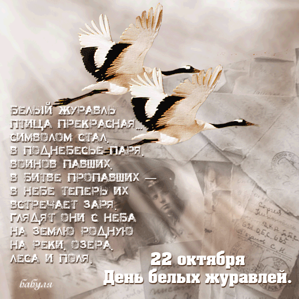 Праздник Белых Журавлей
Песней отзовётся
И зажжёт сердца людей
Светом, ярче солнца! Открытки на День белых журавлей!