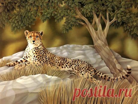 wallpapers_cats_184.jpg (1024×768)