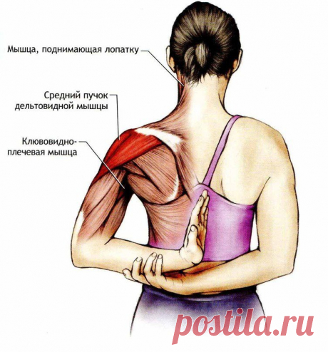 5 упражнений, которые подтянут лицо / Все для женщины