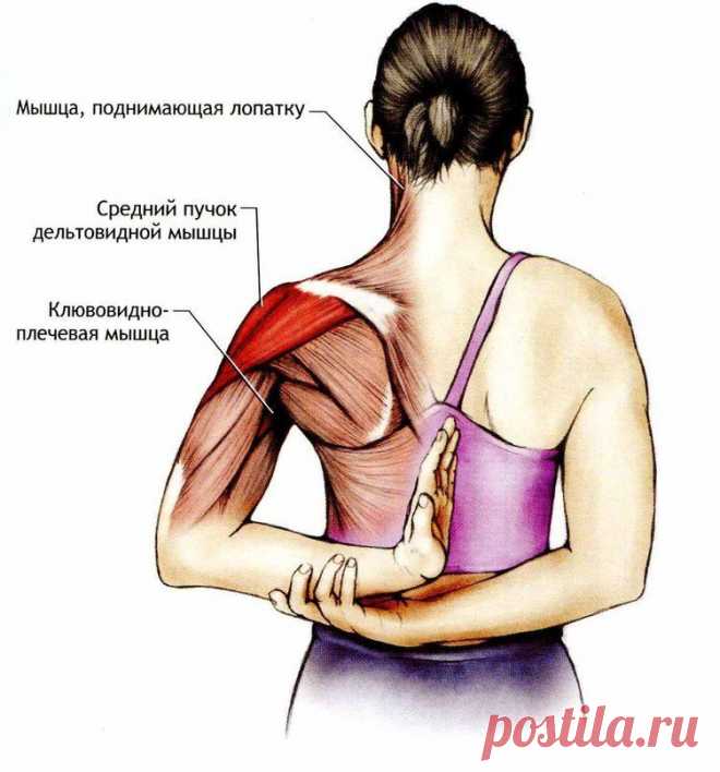5 упражнений, которые подтянут лицо / Все для женщины