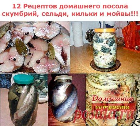 ПОЛЕЗНЫЕ СОВЕТЫ :
 СОВЕТ 1 : Редко встречаешь такие рецепты. 12 Рецептов домашнего посола скумбрий, сельди, кильки и мойвы!!!
 ================================== Пальчики оближешь • Лучшие рецепты! C нами ты научишься готовить ВКУСНО!
Соленая скумбрия по рецепту «Старого моряка»
Ингредиенты и приготовление:
Как только рыба чуть подтаяла, помыла ее, отрезала голову, хвост, плавники, сняла кожицу, тщательно выпотрошила, разделала на 2 филе вдоль позвоночника, удалив позвоночник и все косточк