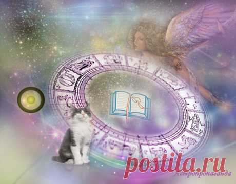 18 апреля 2019. Астрологические советы на день | Астропропаганда | Яндекс Дзен

Автор: астролог Нина Стрелкова.
Что хорошо и что плохо в этот день.
Хорошо в этот день браться за кратковременные проекты.
Это неплохое время для культурных мероприятий и для рекламы.
Хорошо в этот день ухаживать за своей внешностью, чистить кожу, делать массаж, маски для лица, омолаживающие процедуры, маникюр, посещать парикмахера.
Можно совершать не очень крупные покупки, приобретать одежду, предметы...