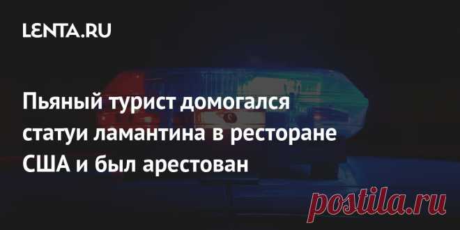 Пьяный турист домогался статуи ламантина в ресторане США и был арестован Пьяный турист домогался статуи ламантина в ресторане и устроил дебош в отеле в США. 23-летний Энтони Лесса был арестован и обвинен в хулиганстве после инцидентов, произошедших в пятницу, 9 декабря, в двух разных местах Сент-Пит-Бич, штат Флорида: отеле Postcard Inn On The Beach и ресторане Rick's Reef.