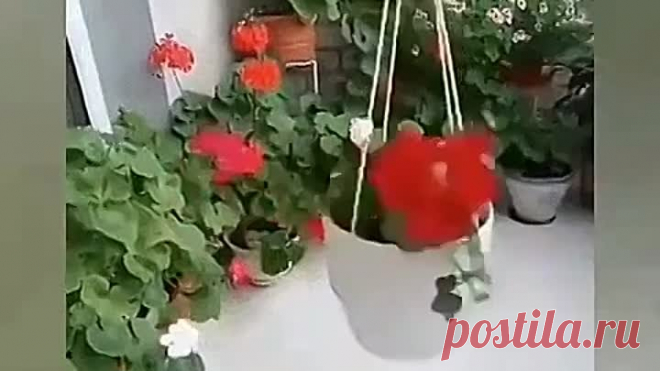 Этот совет я запомню надолго, один из самых полезных